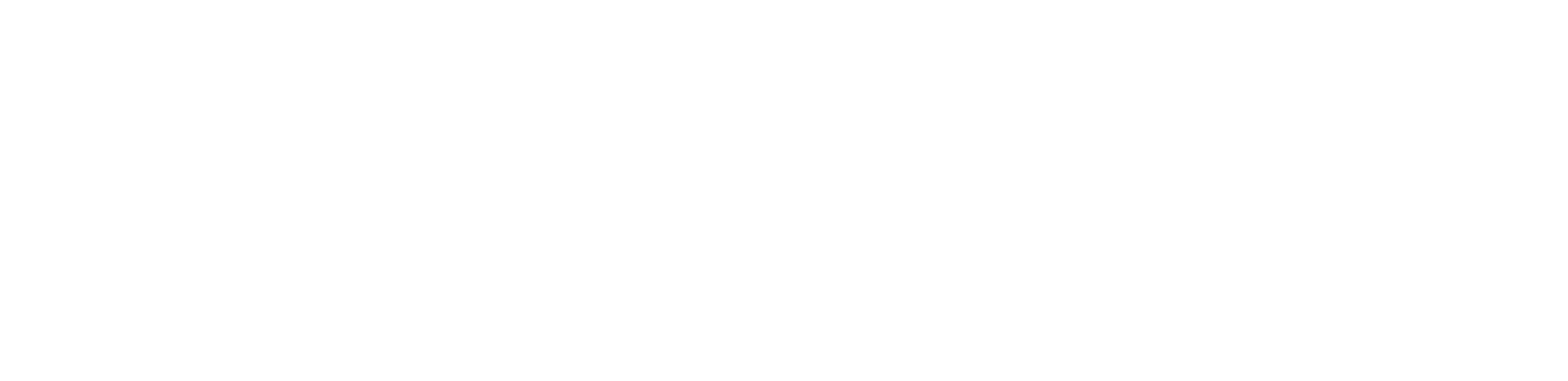 tPay365 logo